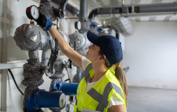 Best Plumbing Inspection Services  in Langley Park, MD